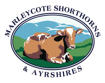 marleycote logo